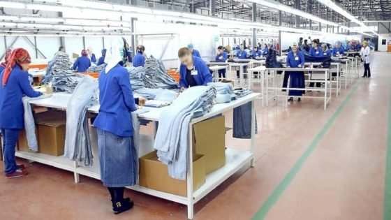 الرأي الحر: مناعة الاقتصاد الوطني أمام تحدي القطاع غير المنظم