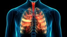 53 في المائة من حالات السل الجديدة المسجلة بالمغرب خلال سنة 2025 تتعلق بالأشكال خارج الرئة