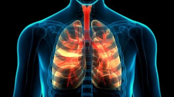 53 في المائة من حالات السل الجديدة المسجلة بالمغرب خلال سنة 2025 تتعلق بالأشكال خارج الرئة