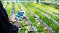 الصين تكشف عن أول نموذج ذكاء اصطناعي مفتوح المصدر لحماية المحاصيل الزراعية