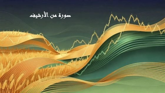 أسعار المواد الغذائية العالمية ماتزال مرتفعة مع تسجيل تراجع طفيف خلال شهر ماي الماضي