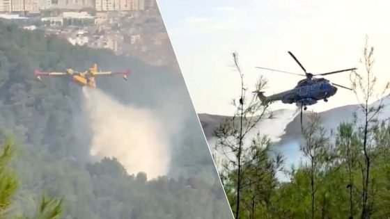 الحرائق تأتي على نحو 25 ألف هكتار في منطقتي مدريد وأفيلا بإسبانيا