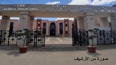 تسعة باحثين من جامعة مولاي إسماعيل بمكناس ضمن قائمة 2 في المائة من الباحثين الأكثر تأثيرا في العالم